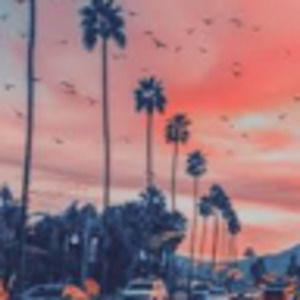 Meet your Posher, Malia